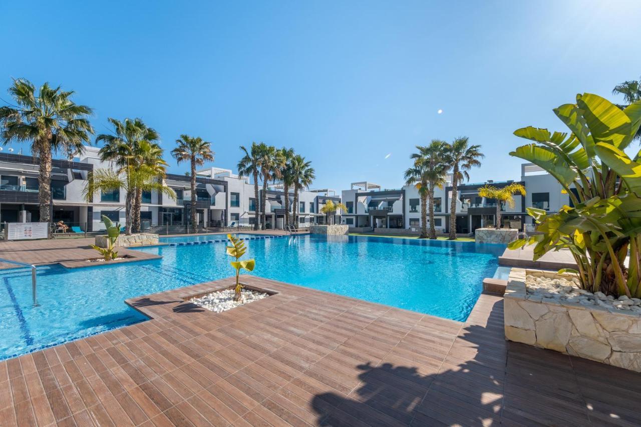 Oasis 3